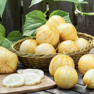 Semillas de pepino limón